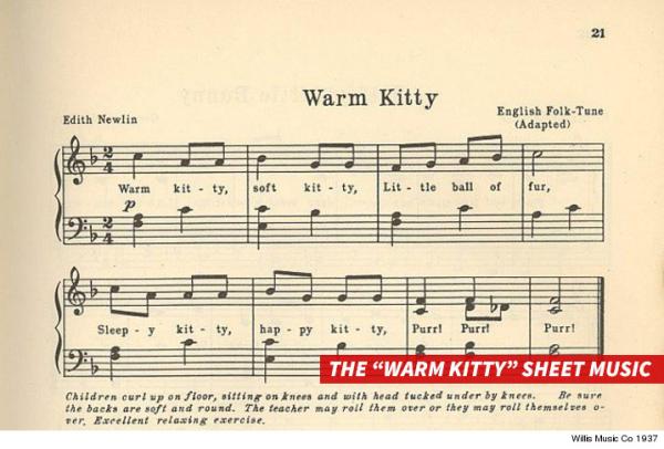 warm kitty