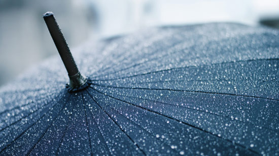 爱雨者的自白