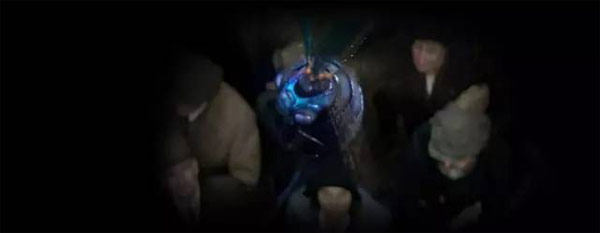 《神奇动物》里都有哪些神奇的动物？