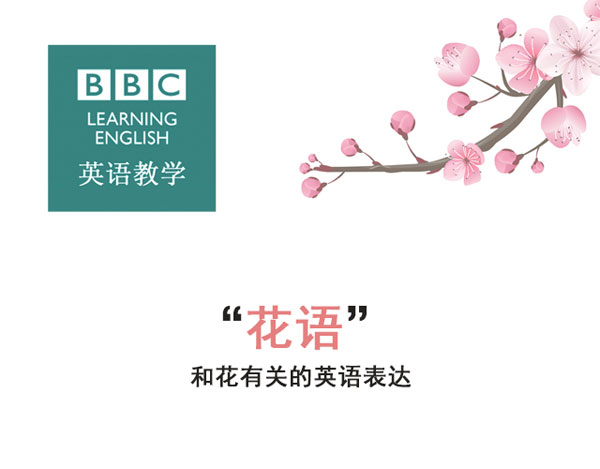 “花语”：和花有关的英语表达