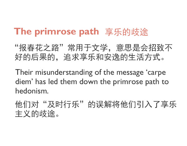 “花语”：和花有关的英语表达