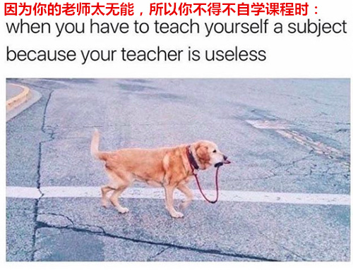 网友神吐槽：大学生活带给你什么