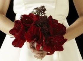 实战口语情景对话：婚礼 The Wedding - Her Story