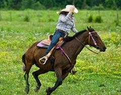 实战口语情景对话：骑马 The Horse Ride