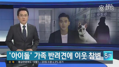明星爱犬咬伤邻居间接致其死亡，宠物不拴绳害人也害狗
