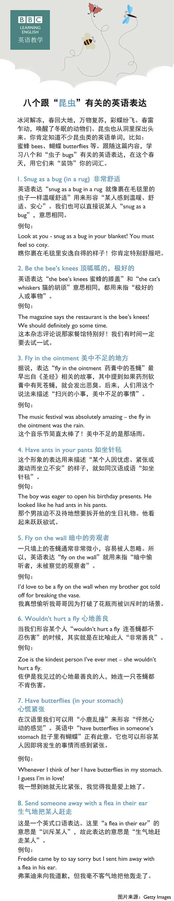 八个跟“昆虫”有关的英语表达
