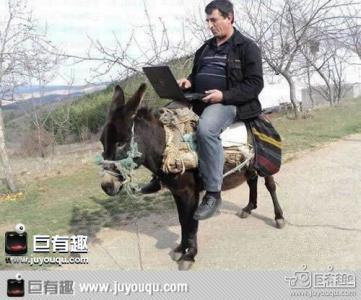 歇后语中译英02:骑驴看唱本