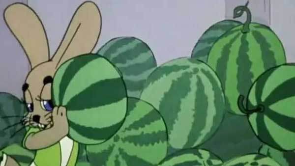西瓜好不好靠敲？专家教你如何挑西瓜