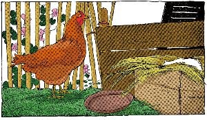 原版美国少儿英语：08.RED HEN’S NEST