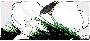 美国原版少儿英语：16.BUNNY BUNTING