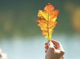 实战口语情景对话：Natural Medicine 自然药物
