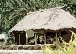 实战口语情景对话：Samoa Life 萨摩亚的生活