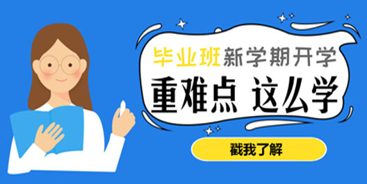 爱智康的课程