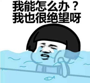 每日一词：走过场