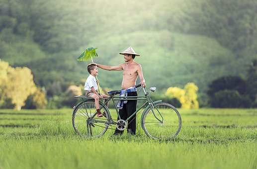 孩子们真正想和家人一起做的事情