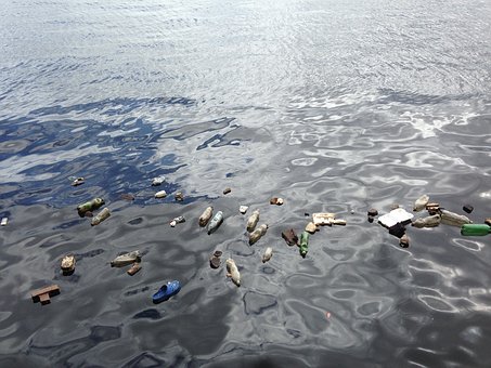 绿海龟因把塑料误当成食物而濒临死亡