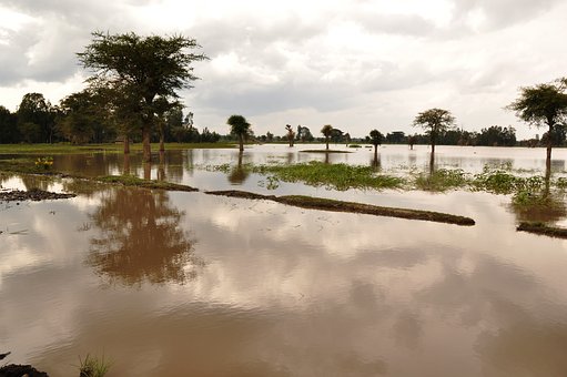 卡纳塔克邦发生洪灾，自8月1日以来，40人死亡，14人失踪