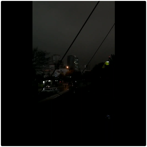 白天也懂夜的黑：巴西因亚马逊大火而陷入黑暗