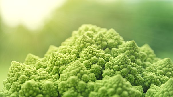 到2050年，我们的粮食还够吃吗？
