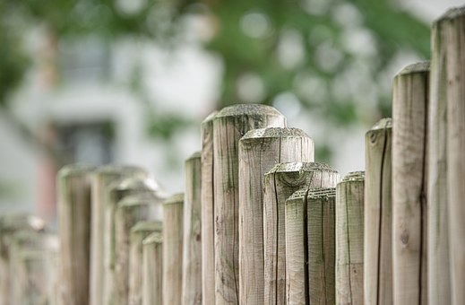 [双语]A Hole in the Fence 篱笆上的洞