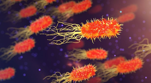 将抗生素耐药性传播给其他微生物的罪魁祸首