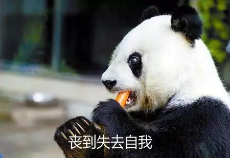 屎