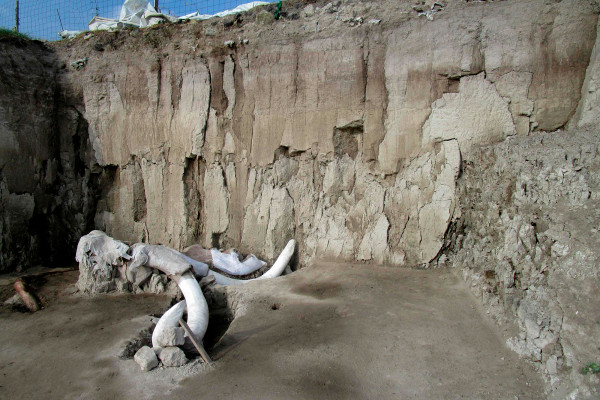 15000年前的猛犸象陷阱，是古代猎人的第一个证据