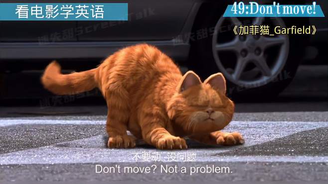  看电影学英语 Don